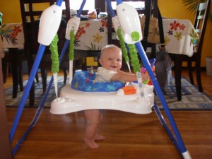 Fisher Price Deluxe Jumperoo Review