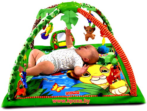 Fisher-Price Disney Baby Simba's King-Sized Play Gym 