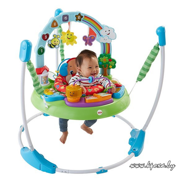 Fisher-Price Laugh and Learn Puppy's Activity Jumperoo Mattel  прокат аренда прыгунки для детей минск малиновка